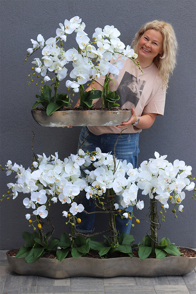 Snake Modern L, sztuczny storczyk w srebrnej donicy, wys.64cm