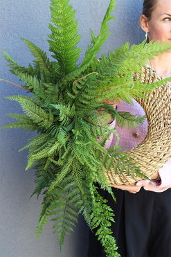 Paprocie, asymetryczny zielony wianek, rozp.100cm