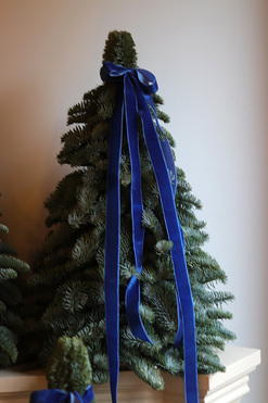 Nobilis Blue, świąteczna choinka z żywych gałązek, wys.60cm 