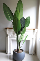 Bananowiec Concrete Bowl, sztuczna roślina w donicy