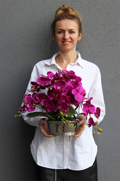 Fuksja Desilva, storczyk w lustrzanej donicy, wys.36cm