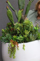 Desideria Cacti 3 Fiberglass, sukulenty z kaktusem w białej donicy