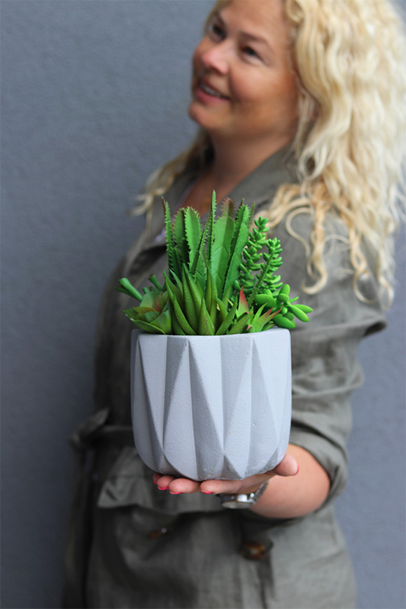 Delona Moderno, dekoracja sukulenty w szarej donicy