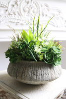 Sukulenty Hefuba, kompozycja w okrągłej donicy