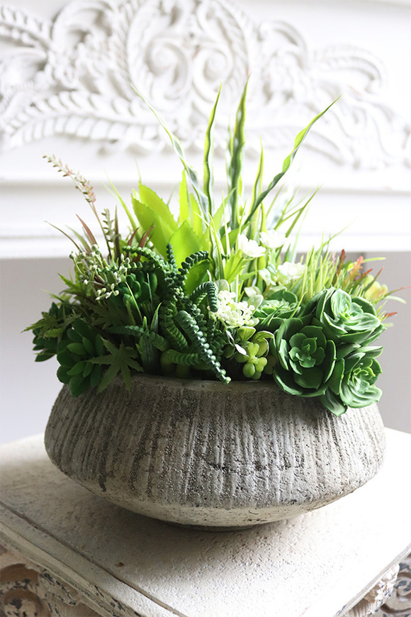 Sukulenty Hefuba, kompozycja w okrągłej donicy