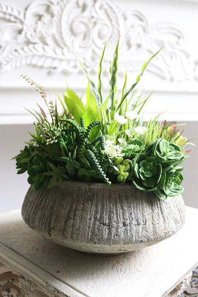 Sukulenty Hefuba, kompozycja w okrągłej donicy