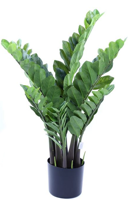 wysokiej jakości sztuczna roślina, Zamiokulkas, wym.90cm