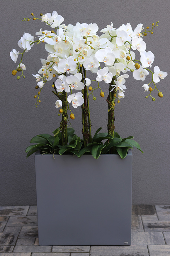 duży storczyk w donicy fiberglass, Marco Grande Grey, wys.120cm
