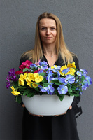 Bratki Kolory, sztuczne bratki w donicy