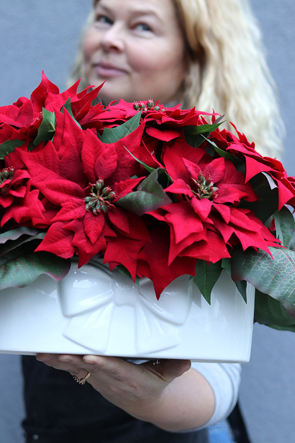 Gwiazda Betlejemska Kokarda 2, wysokiej jakości sztuczna roślina