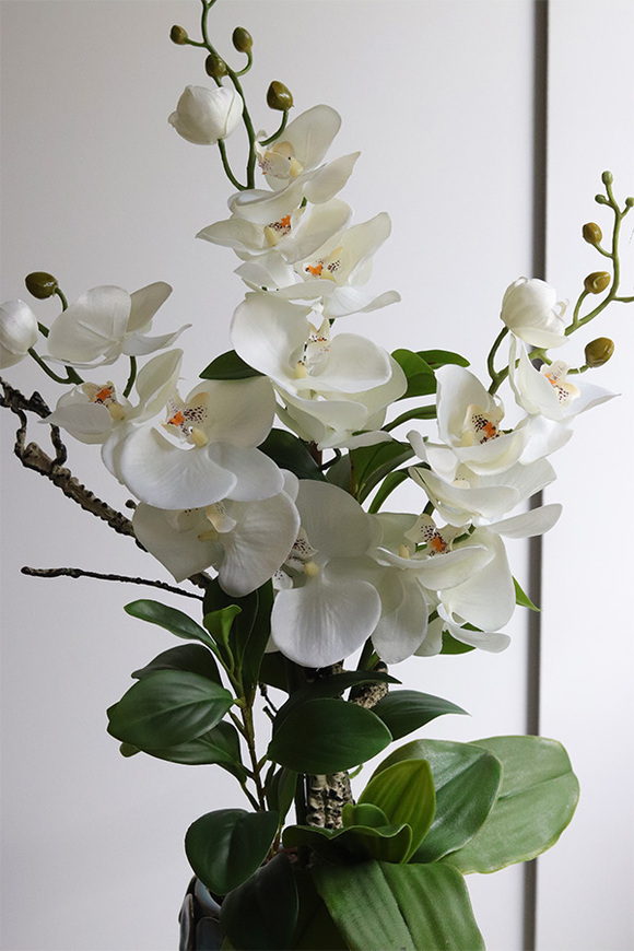 Nenufarro Timber, sztuczny storczyk w ozdobnej donicy