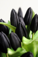 Black Easter 2, kompozycja z gumowymi tulipanami