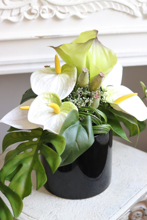 Anturium Jungle, kompozycja kwiatowa w naczyniu