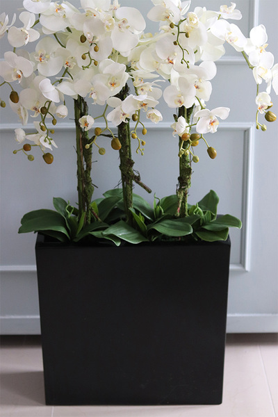 duży storczyk Marco Black Fiberglass, wys.110cm 