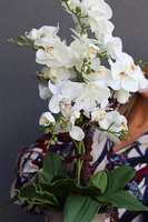 Pucharina Beige, sztuczny storczyk w ceramicznym pucharze