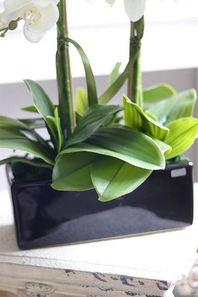 Black Panter, sztuczny storczyk w prostokątnej donicy