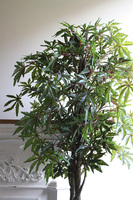 Klon Japoński Domingo, sztuczna roślina w złotej donicy