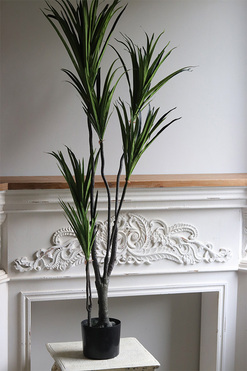 Dracena, wysokiej jakości sztuczna roślina, wym.137cm