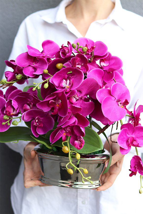 Fuksja Desilva, storczyk w lustrzanej donicy