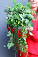 Herrano Greece, kompozycja sukulenty w białej misie