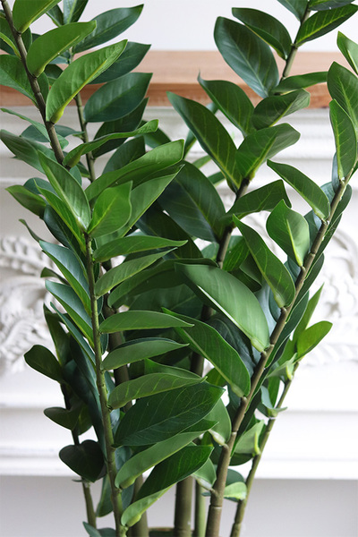 Zamiokulkas Gold, sztuczna roślina w doniczce