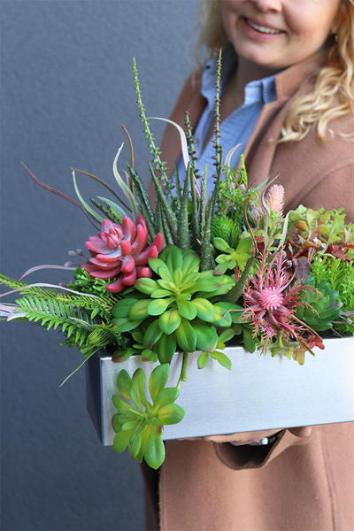 Ketrana Isolda Steel, sukulenty w stalowej donicy