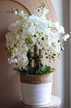 Basketto Orchid, efektowny storczyk w koszu z trawy, wys.82cm 