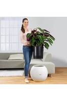 Puro, elegancka donica z nawadnianiem