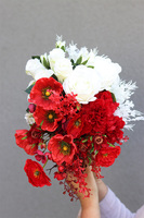 Pierwsza Dama, kompozycja kwiatowa w donicy