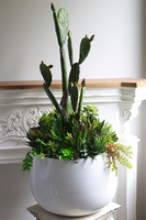 Desideria Cacti 3 Fiberglass, sukulenty z kaktusem w białej donicy