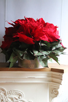 Gwiazda Betlejemska Gold Glass, wysokiej jakości sztuczna roślina