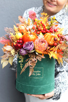 Nerite Polenia, welurowy flowerbox jesienny z dyniami