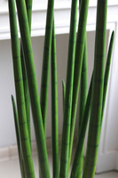 Sansewieria Cylindryczna, roślina sztuczna w donicy