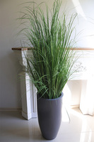 Fiberglass Grey Grass, trawa w donicy fiberglass