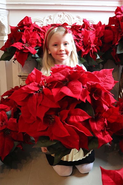 Gwiazda Betlejemska Goldeo, wysokiej jakości sztuczna roślina