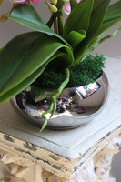 Mini Piano Silver Pink, sztuczny storczyk w lustrzanej donicy