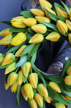 Witaj Wiosno Yellow Retra, wianek z tulipanów, śr.47cm  