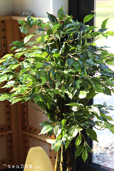 Fikus Benjamin E Ares, sztuczna roślina w donicy