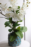 Nenufarro Timber, sztuczny storczyk w ozdobnej donicy