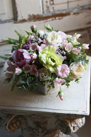 Geristo, kompozycja kwiatowa w srebrnej donicy, wym.30x30cm