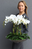 Bartolomeo Nolla, storczyk w srebrnym podłużnym naczyniu, wys.50cm 