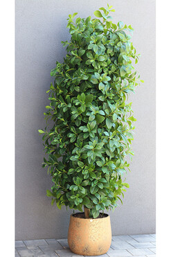 Drzewko Maxi Orange, sztuczna roślina w donicy, wys.190cm