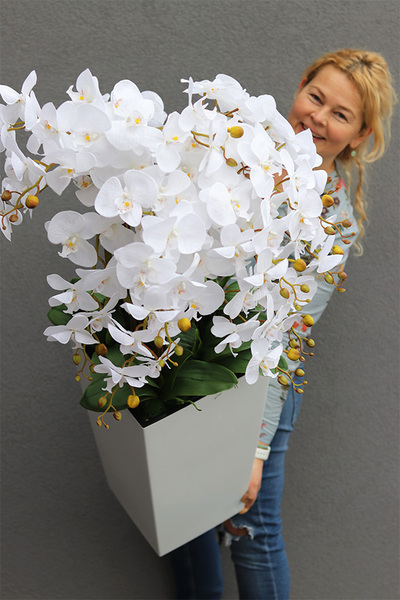 bogaty storczyk podłogowy w białej donicy, Mediolan White, wys.120cm