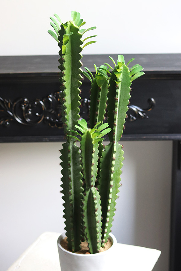 Kaktus Spain, sztuczna roślina
