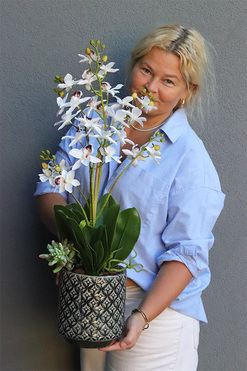 Lunna Selenia, gumowy storczyk, wys.57cm