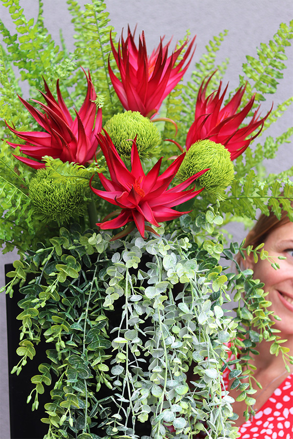 Red Flowers Paline, sukulenty w czarnej donicy