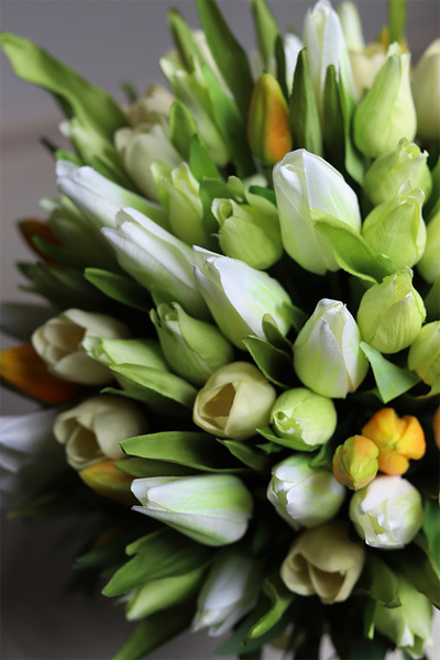 Tulipinia, wiosenna kompozycja kwiatowa