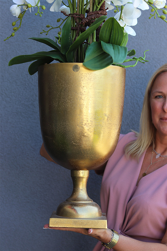 Złoty Puchar, storczyk w pucharze