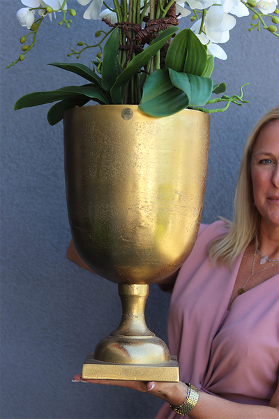 Złoty Puchar, storczyk w pucharze