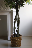 Klon Japoński Domingo, sztuczna roślina w złotej donicy